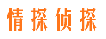 崇安侦探公司